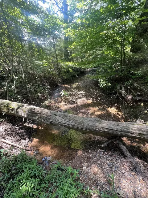 125 Lark Ln, Mena, AR 71953 photo 21