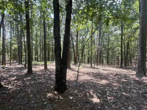 125 Lark Ln, Mena, AR 71953 photo 27