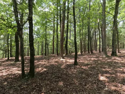 125 Lark Ln, Mena, AR 71953 photo 26