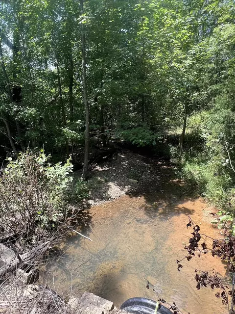 125 Lark Ln, Mena, AR 71953 photo 22