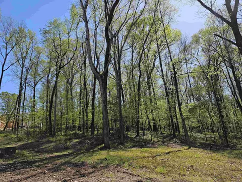437 Kale Cv, Benton, AR 72019 photo 10