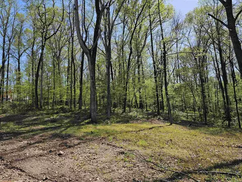 437 Kale Cv, Benton, AR 72019 photo 7