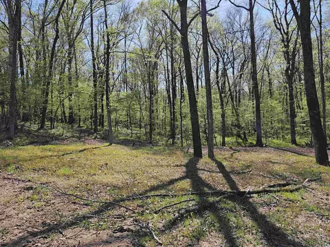 437 Kale Cv, Benton, AR 72019 photo 8