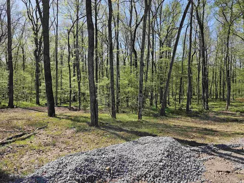 437 Kale Cv, Benton, AR 72019 photo 9