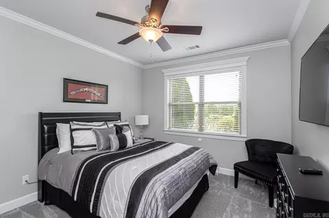 9016 Stone Canyon Dr, Alexander, AR 72002 photo 24