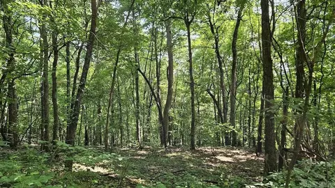 N/a Nc 8355, Jasper, AR 72641 photo 8