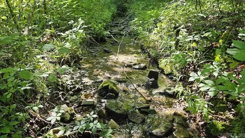 N/a Nc 8355, Jasper, AR 72641 photo 7