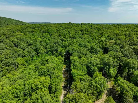 250 Loop Rd, Locust Grove, AR 72550 photo 28