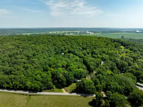 250 Loop Rd, Locust Grove, AR 72550 photo 27