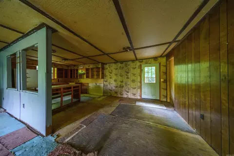 250 Loop Rd, Locust Grove, AR 72550 photo 9