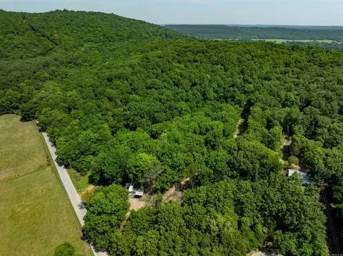 250 Loop Rd, Locust Grove, AR 72550 photo 26