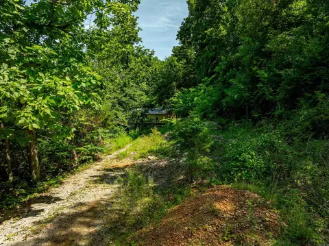 250 Loop Rd, Locust Grove, AR 72550 photo 23