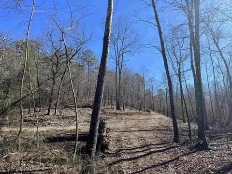 151 Macks Ln, Mena, AR 71953 photo 6