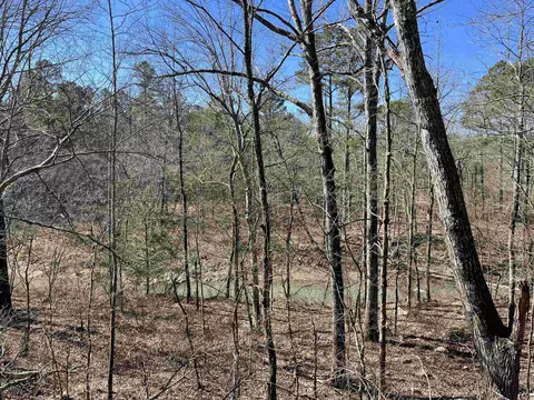 151 Macks Ln, Mena, AR 71953 photo 8