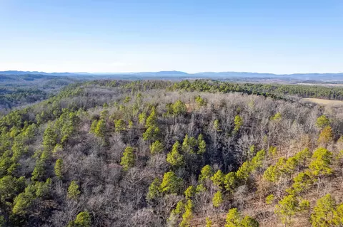 151 Macks Ln, Mena, AR 71953 photo 3