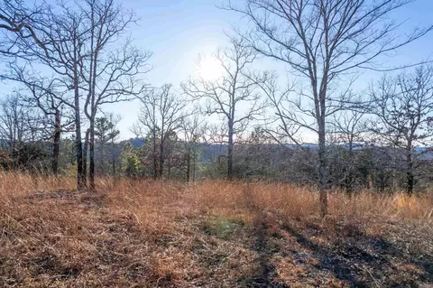 151 Macks Ln, Mena, AR 71953 photo 2