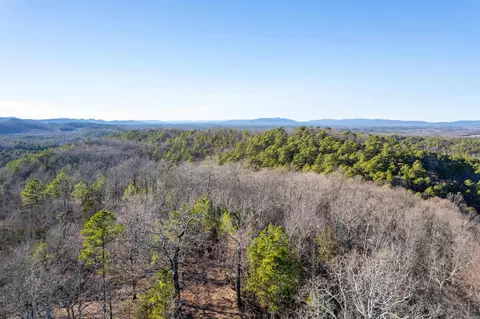 151 Macks Ln, Mena, AR 71953 photo 10