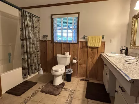 146 Shipps Landing Ct, Norfork, AR 72658 photo 9