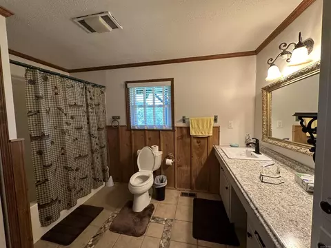 146 Shipps Landing Ct, Norfork, AR 72658 photo 10