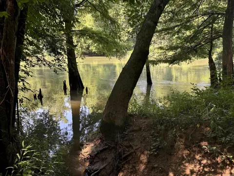 000 Cypress Shoals Dr, Pangburn, AR 72121