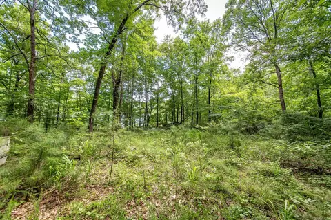 0 Weldon Rd, Edgemont, AR 72044 photo 9