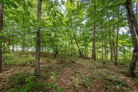 0 Weldon Rd, Edgemont, AR 72044 photo 12