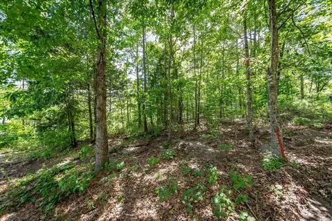 0 Weldon Rd, Edgemont, AR 72044 photo 5