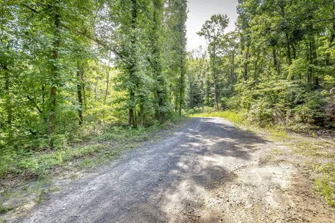 0 Weldon Rd, Edgemont, AR 72044 photo 2