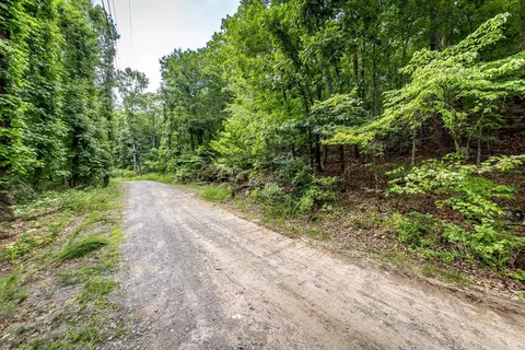 0 Weldon Rd, Edgemont, AR 72044 photo 15