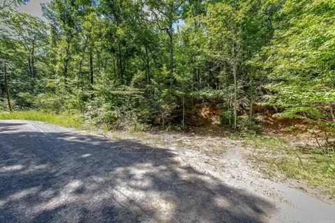 0 Weldon Rd, Edgemont, AR 72044 photo 3