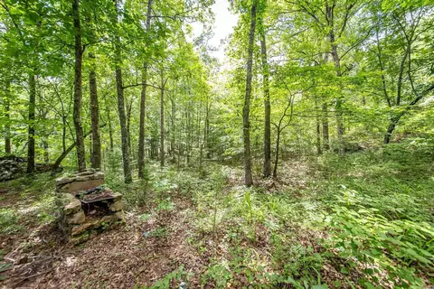 0 Weldon Rd, Edgemont, AR 72044 photo 11