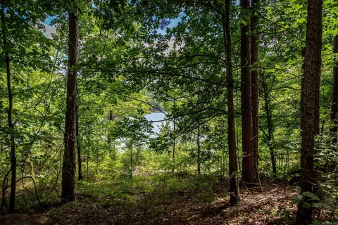 0 Weldon Rd, Edgemont, AR 72044 photo 14