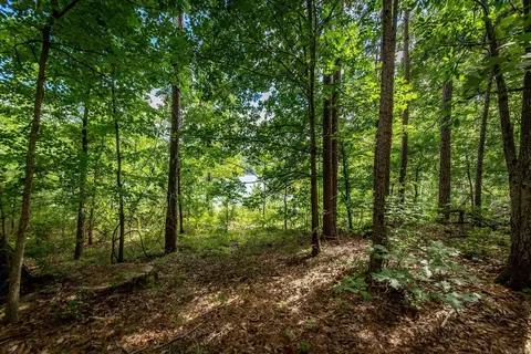 0 Weldon Rd, Edgemont, AR 72044 photo 13