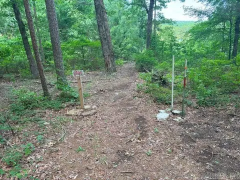 Other - 1237 Circle Acres Rd, Greers Ferry, AR 72067 photo 7 of 13