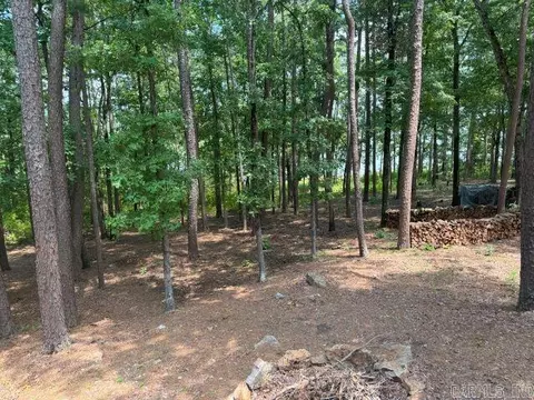 Other - 1237 Circle Acres Rd, Greers Ferry, AR 72067 photo 6 of 13