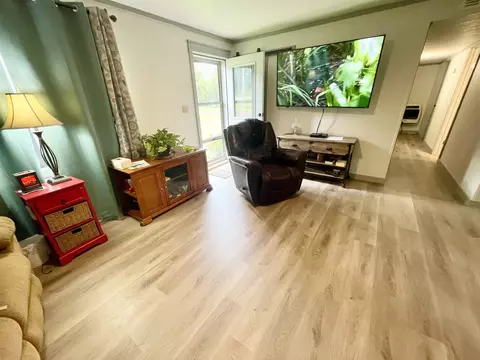 110 Peace Valley Rd, Ash Flat, AR 72513 photo 3