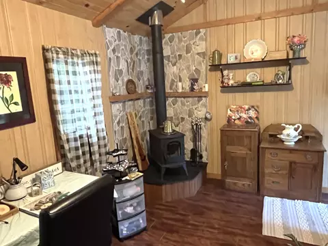 196 Jacobs Ln, Mountain View, AR 72560 photo 45