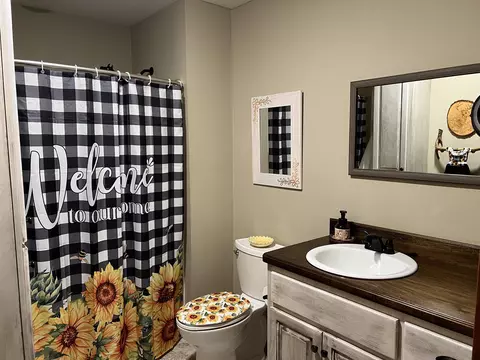 196 Jacobs Ln, Mountain View, AR 72560 photo 32