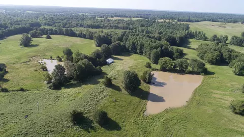 6784 Highway 62, Pollard, AR 72454 photo 3