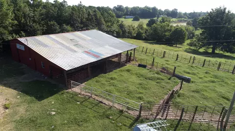 6784 Highway 62, Pollard, AR 72454 photo 8