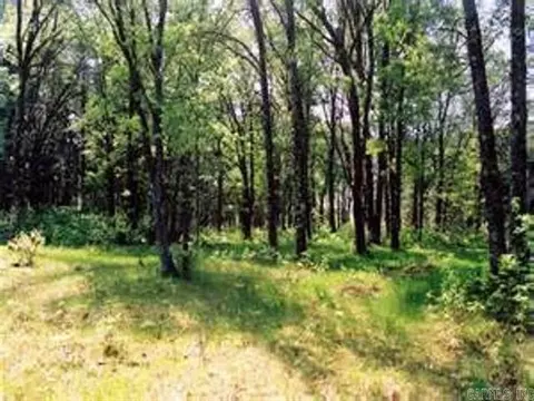 13 Cypress Loop, Vilonia, AR 72173 photo 1