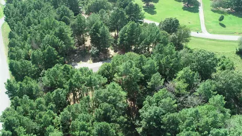 23 Diamond Dr, Damascus, AR 72039 photo 36