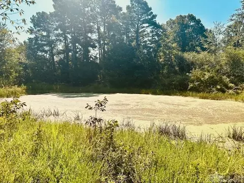 243 Hanover Rd, Edgemont, AR 72044 photo 4