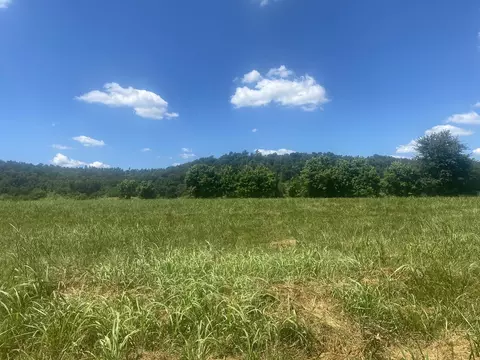 39 Mcphearson Ter, Calico Rock, AR 72519 photo 3