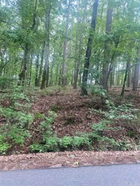 9 Doscientos Way, Hot Springs Village, AR 71909