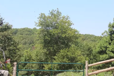 551 Webb Acres Dr, Mountain View, AR 72560 photo 3