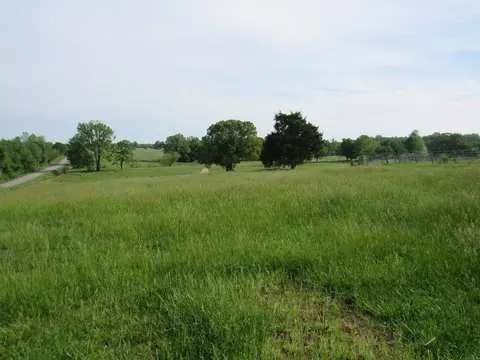 355 Midge Langley Rd, Romance, AR 72136 photo 9