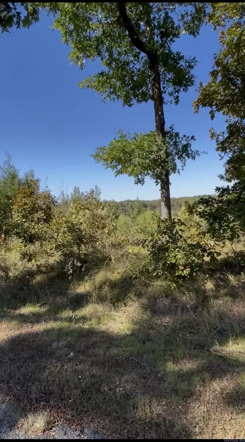 lot3318 Ohio Dr, Hot Springs, AR 71913