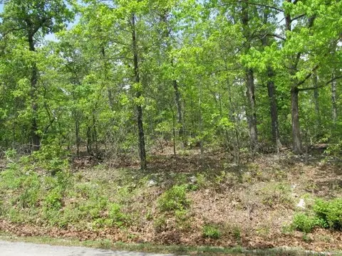 0000 Gin Mill Rd, Ash Flat, AR 72513 photo 3