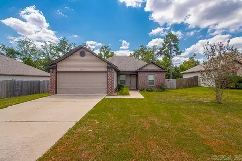 2041 Dandelion Dr, Benton, AR 72019 photo 2